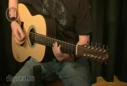 Andrew Ellis - Indian Summer 12 string acoustic guitar