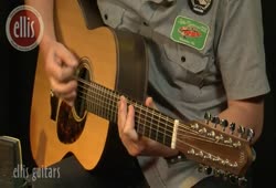 Andrew Ellis - 12-string acoustic guitar