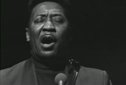 Muddy Waters - Tiger In Your Tank
