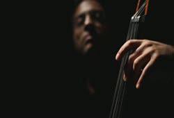 Flamenco Bass by Adam Ben Ezra