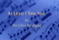 At Least I Saw You (Per-Olov Kindgren)