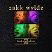 Zakk Wylde - Book of Shadows II