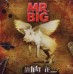 Mr. Big new Live Acoustic Album