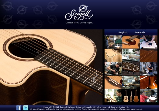 seagull guitars by Godin