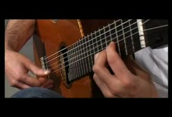 8 String flamnco guitar speed