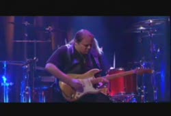 Walter Trout - Dust my Broom (Robert Jonhson blues)