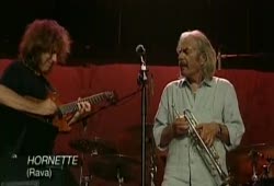 Pat Metheny  - Hornette