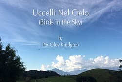 Uccelli Nel Cielo by Per-Olov Kindgren
