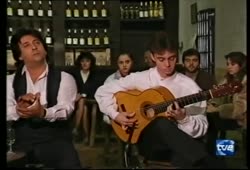 Paco Serrano - Bulerias por Solea (Flamenco guitar)