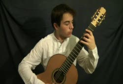 Pat Metheny - Letter From Home performed by Nikolas Beres