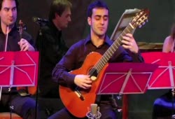 Antonio Vivaldi - Concert in D maj (1st movement) for classical guitar