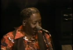 Muddy Waters - I'm A King Bee