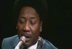 Muddy Waters - Walking Through the Park