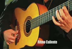 Flamenco guitar portraits: Amin Safari