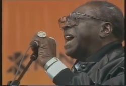 BLUES LEGENDS - Albert King - Live 1992