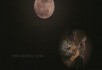 Per-Olov Kindgren - Oceans of the Moon (with video by José Alonso Leon)