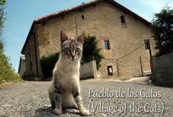 Pueblo de los Gatos (Village of the Cats)