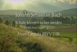 J.S. Bach: "Sheep may safely graze" (BWV 208) for classical guitar