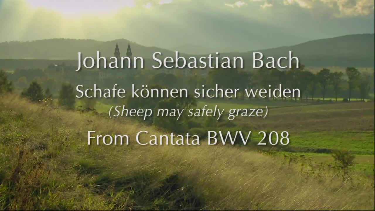J.S. Bach: Sheep may safely graze (BWV 208) for classical guitar - Veojam