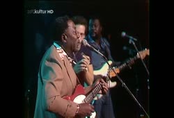 Muddy Waters 1976 - Hoochie Coochie Man