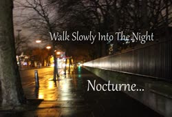 Per-Olov Kindgren - Nocturne (Walk Slowly Into the Night)