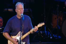 David Gilmour playing Elvis Presley song