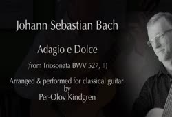 J. S. Bach: Adagio e Dolce BWV 527 (Triosonata in d-minor)