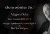 J. S. Bach: Adagio e Dolce BWV 527 (Triosonata in d-minor)