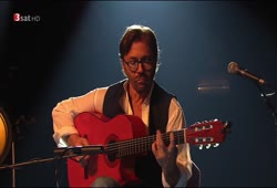 Al Di Meola - Leverkusener Jazztage