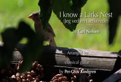 I Know a Lark’s Nest (Carl Nielsen)