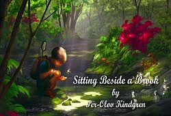 Sitting Beside a Brook